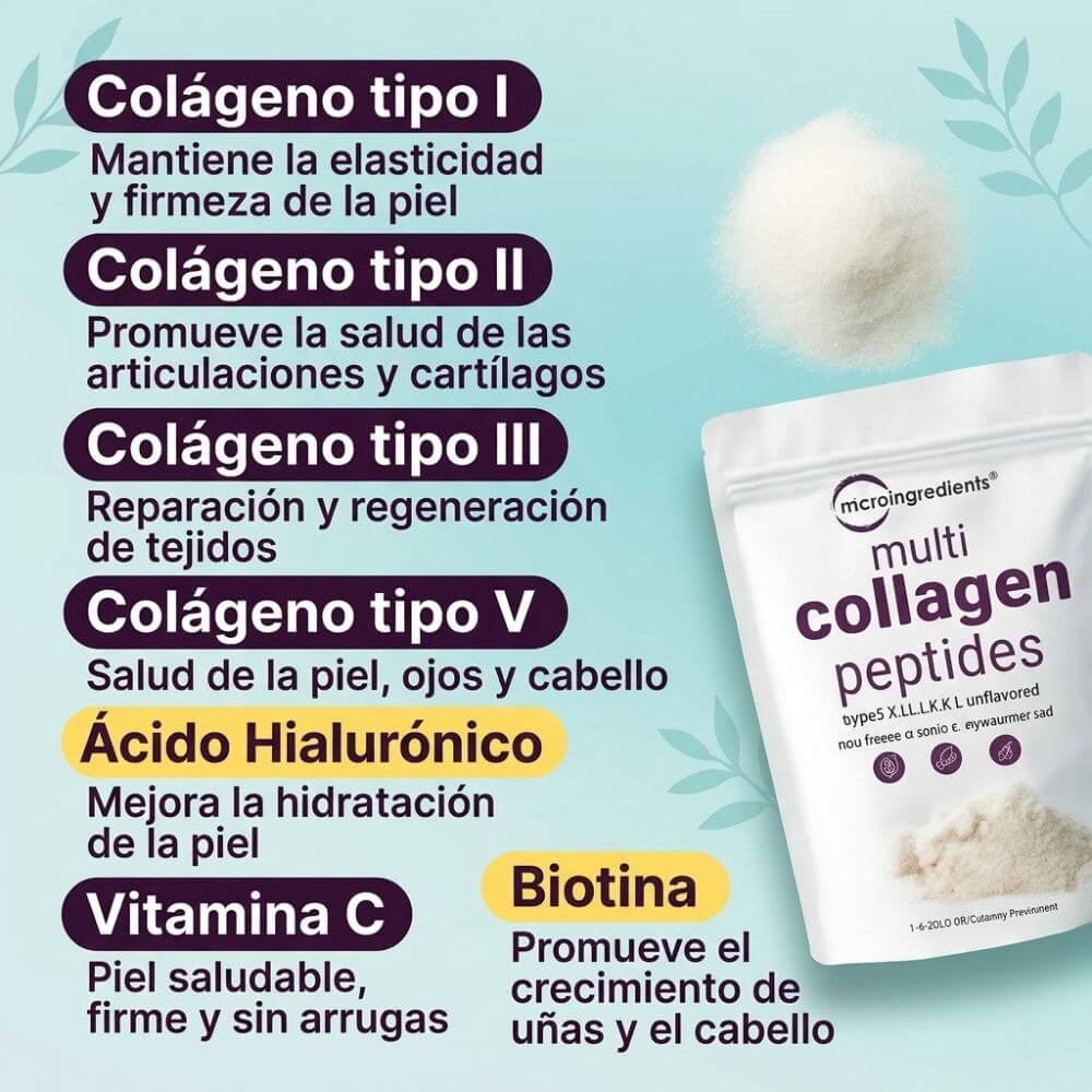 Encabezado